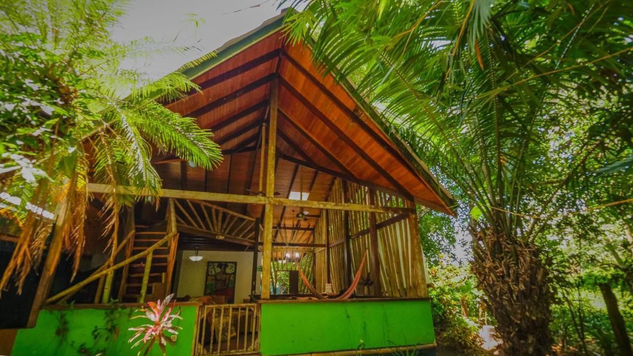 Chosa Manglar Suites & Cabins Puerto Jiménez Dış mekan fotoğraf