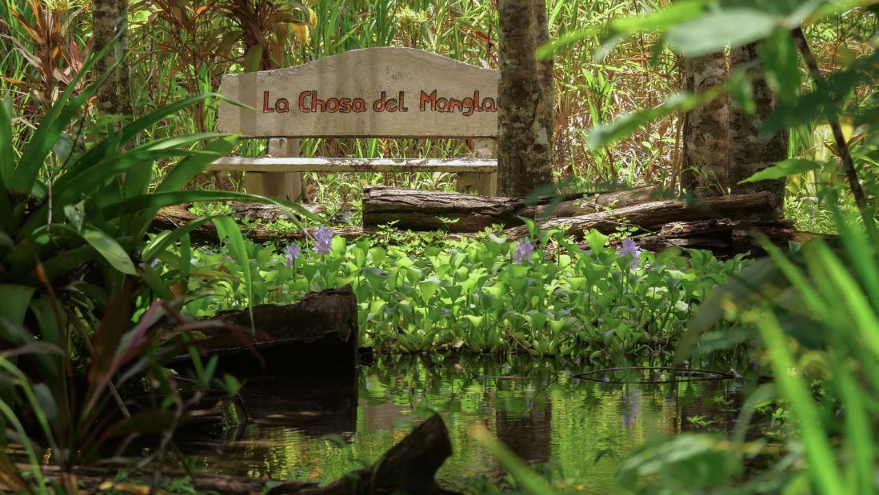 Chosa Manglar Suites & Cabins Puerto Jiménez Dış mekan fotoğraf