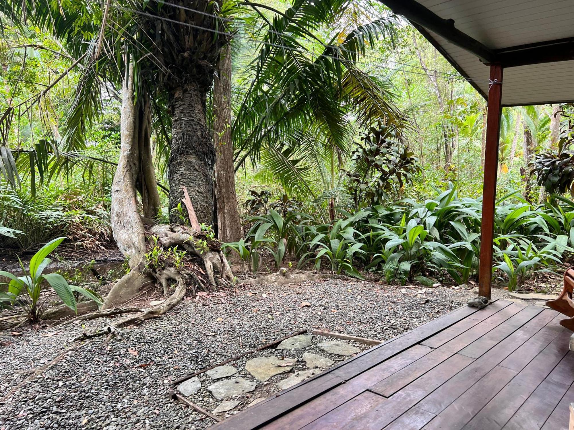 Chosa Manglar Suites & Cabins Puerto Jiménez Dış mekan fotoğraf